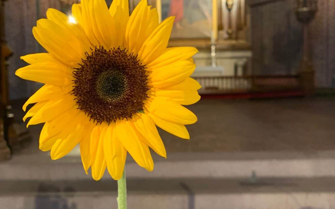 Krigen i Ukraina: Uttalelse fra Norges Kristne Råd